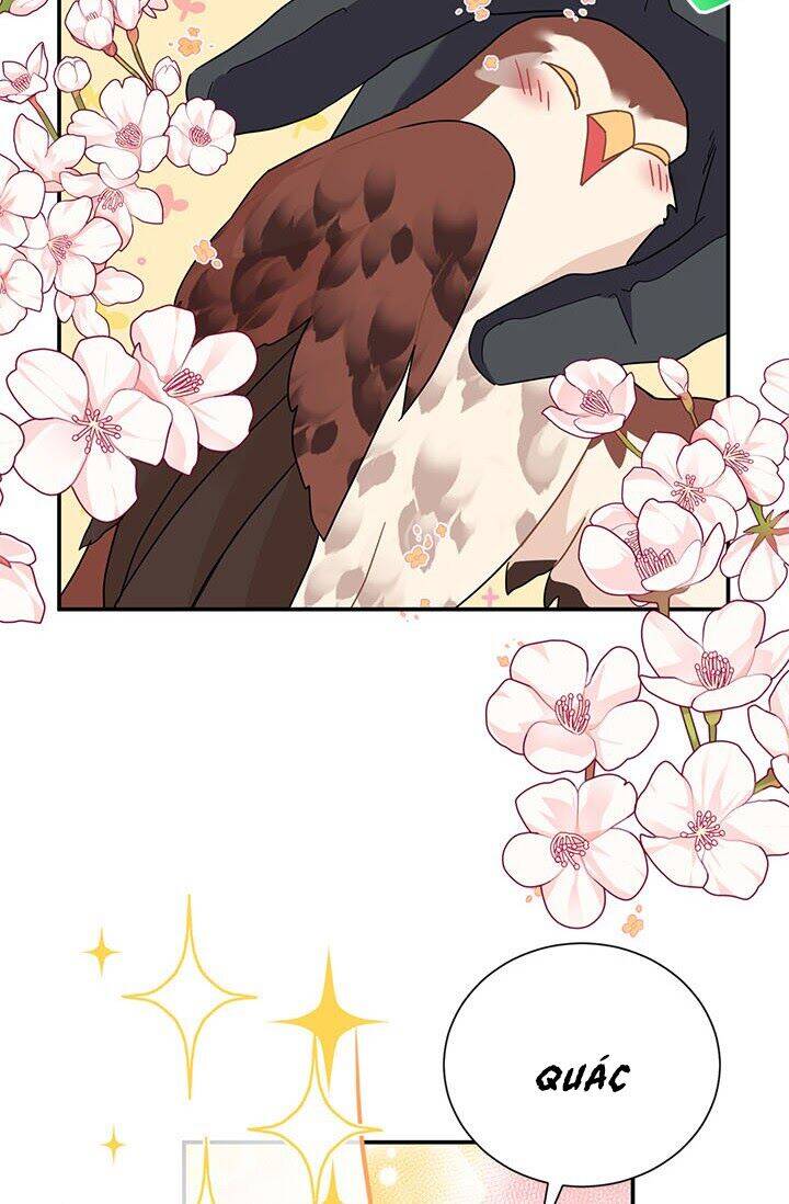 Công Chúa Của Loài Chim - Chương 20
