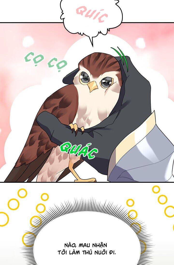 Công Chúa Của Loài Chim - Chương 20