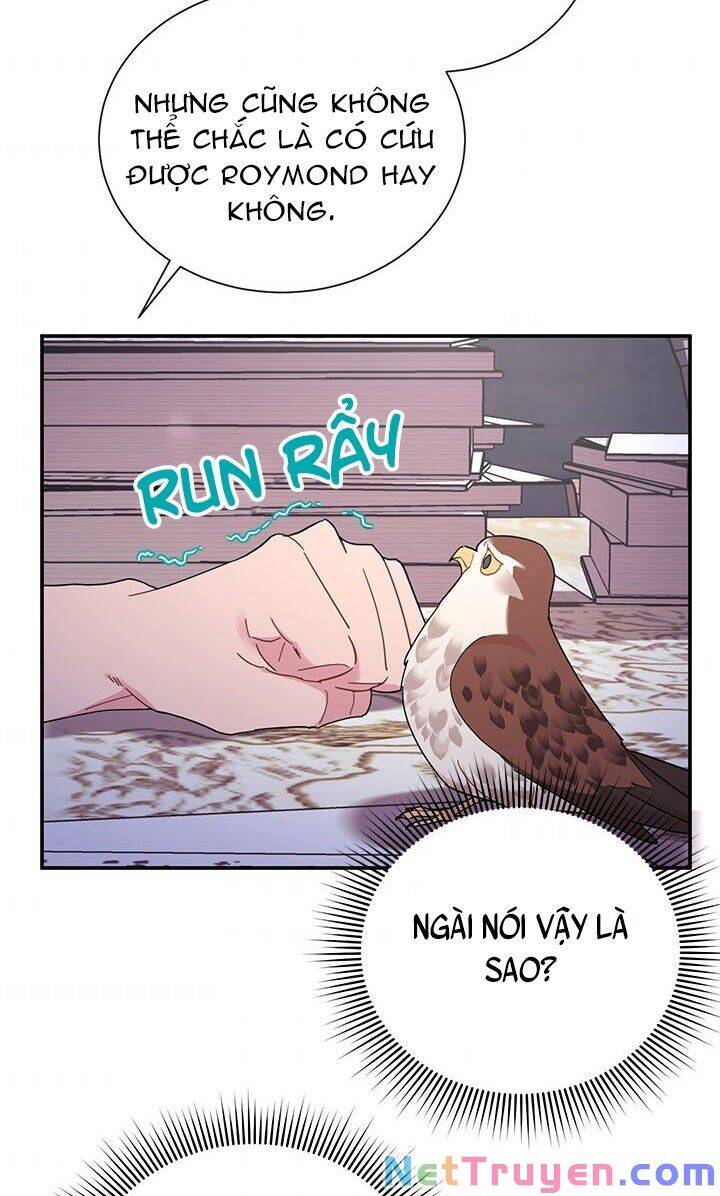 Công Chúa Của Loài Chim - Chương 21