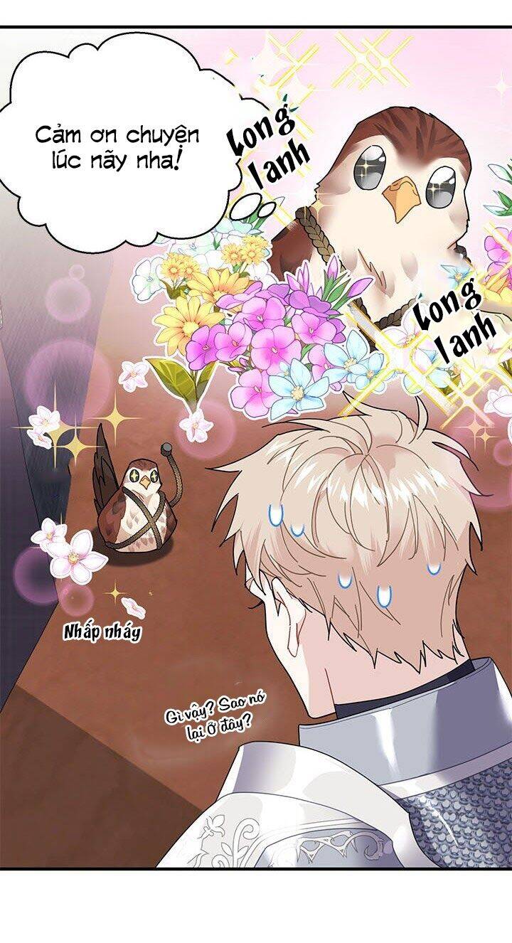 Công Chúa Của Loài Chim - Chương 3