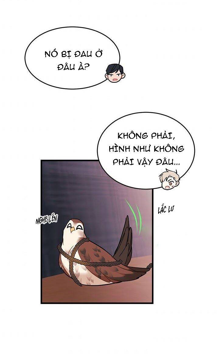Công Chúa Của Loài Chim - Chương 3