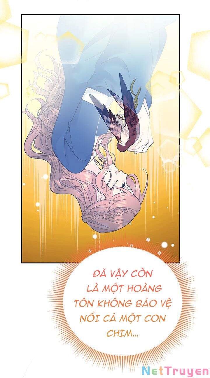 Công Chúa Của Loài Chim - Chương 38.1