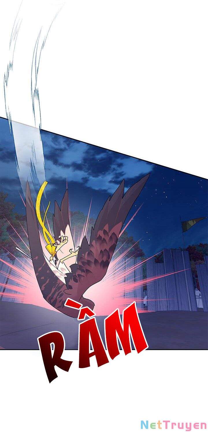 Công Chúa Của Loài Chim - Chương 38.1