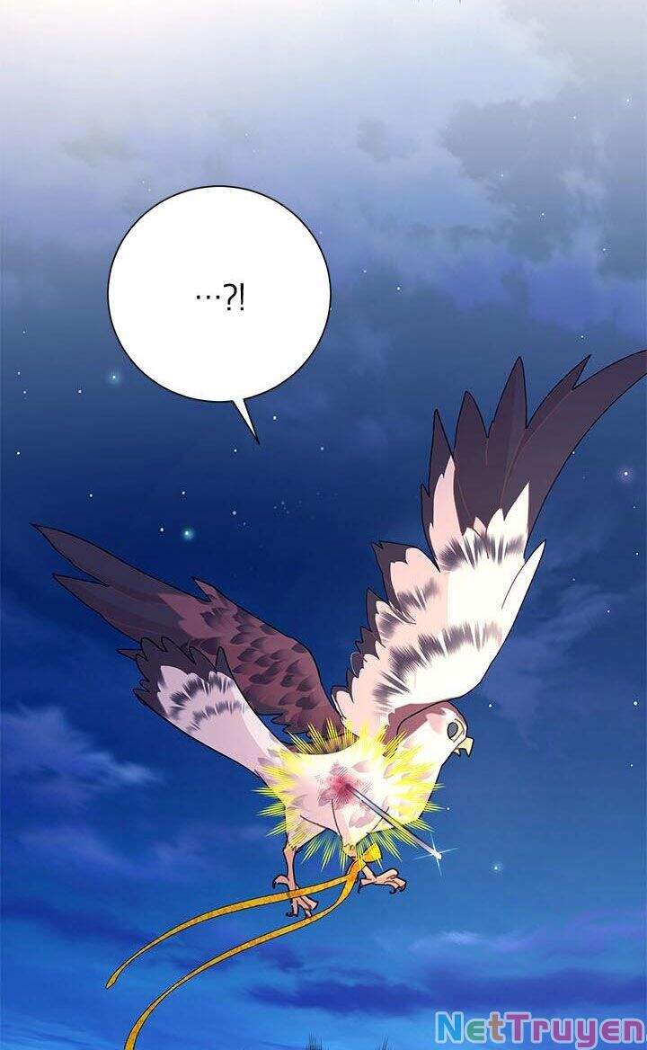 Công Chúa Của Loài Chim - Chương 38.1