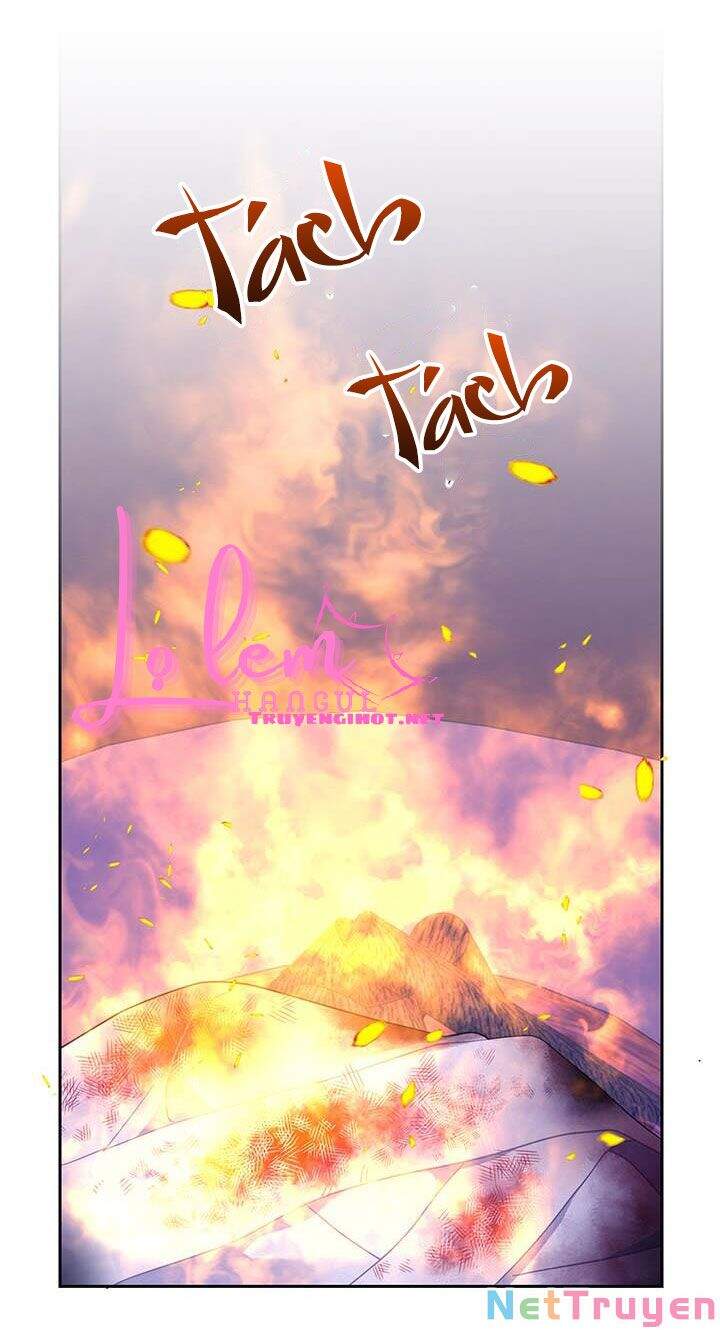 Công Chúa Của Loài Chim - Chương 38.1