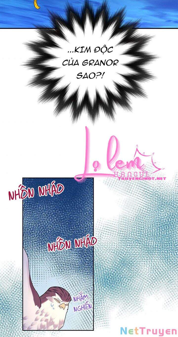 Công Chúa Của Loài Chim - Chương 38.1