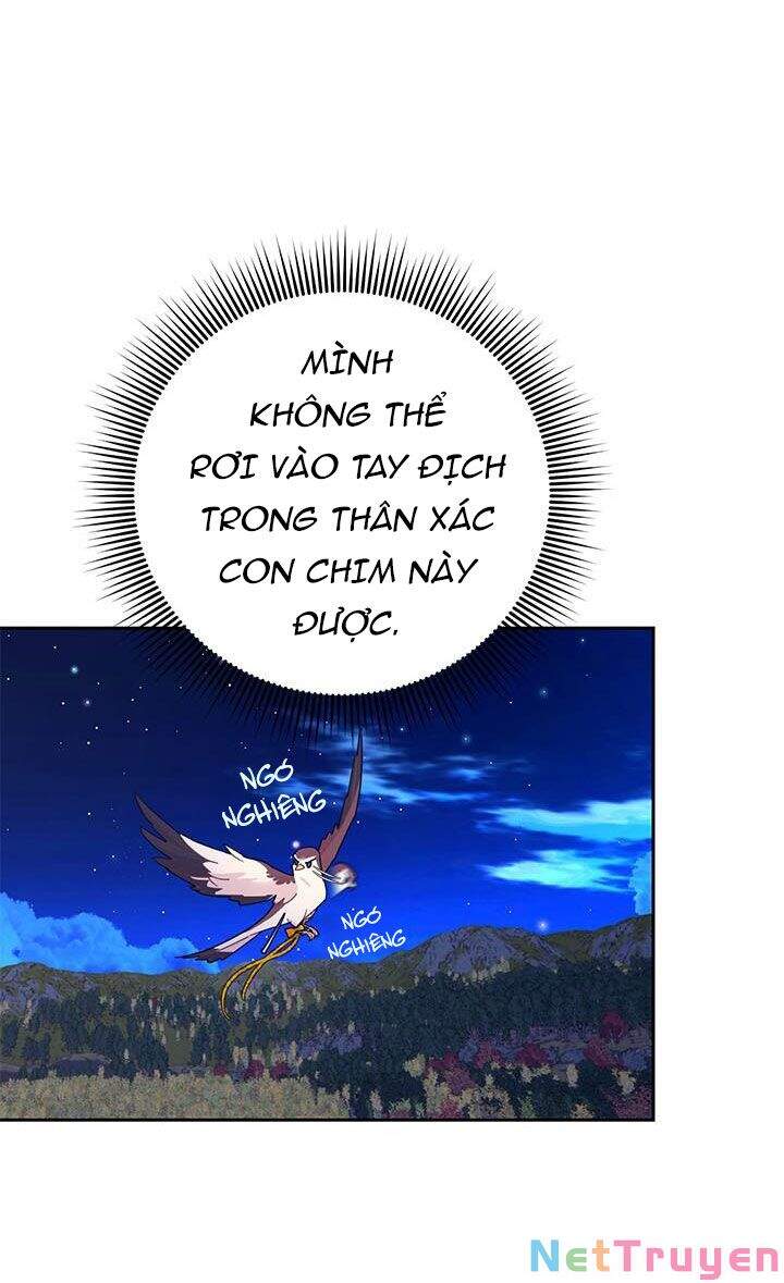 Công Chúa Của Loài Chim - Chương 38.1