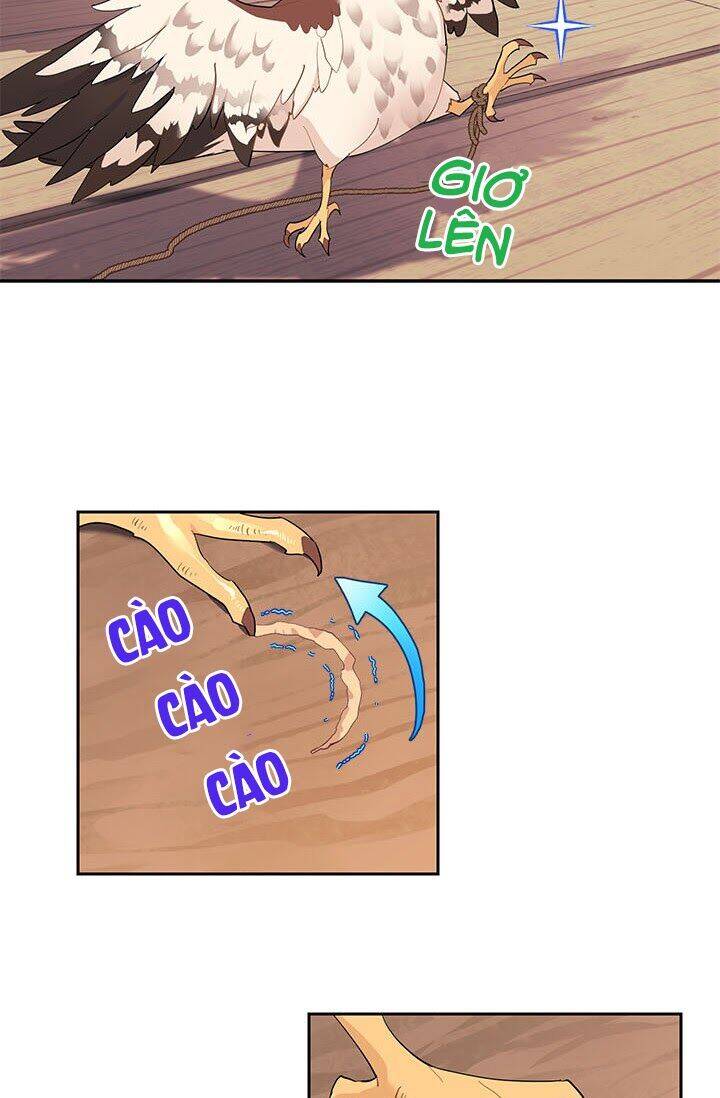 Công Chúa Của Loài Chim - Chương 6