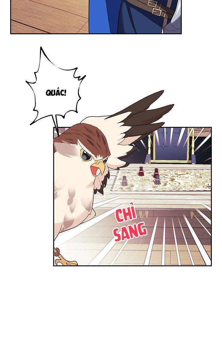 Công Chúa Của Loài Chim - Chương 6