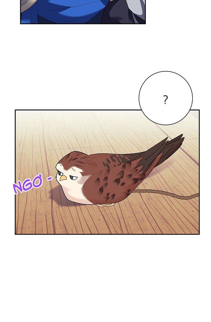 Công Chúa Của Loài Chim - Chương 6