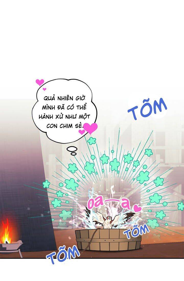 Công Chúa Của Loài Chim - Chương 6