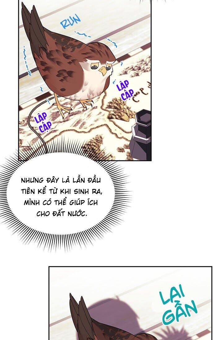 Công Chúa Của Loài Chim - Chương 6