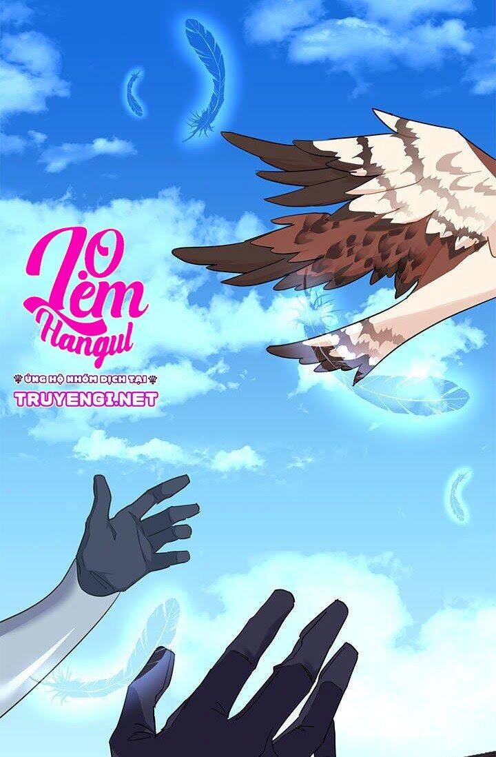 Công Chúa Của Loài Chim - Chương 6