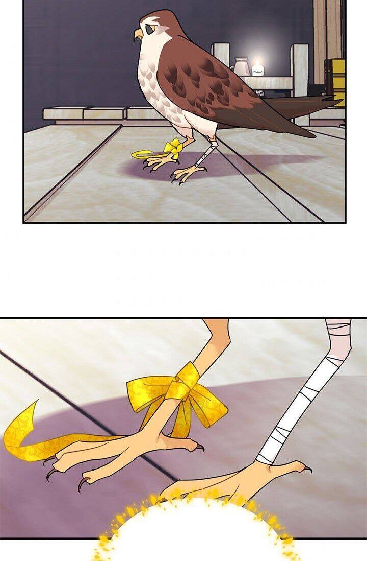 Công Chúa Của Loài Chim - Chương 22