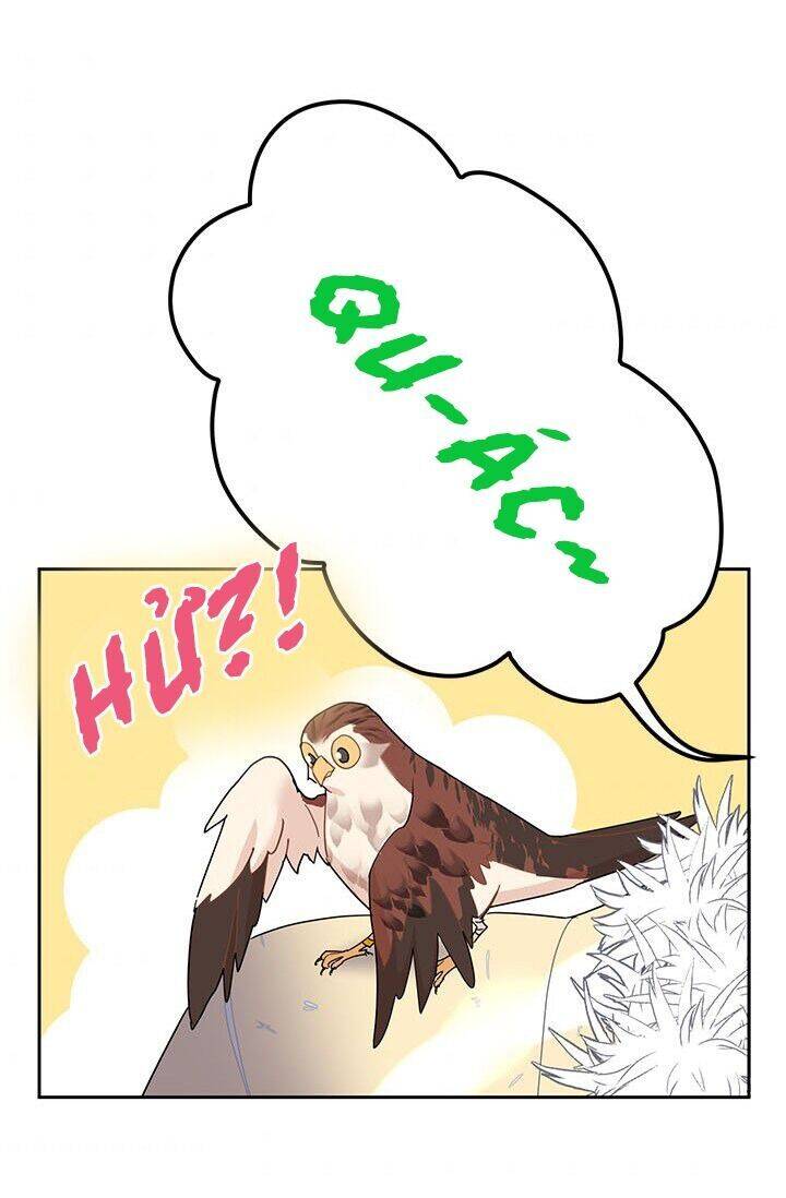 Công Chúa Của Loài Chim - Chương 22