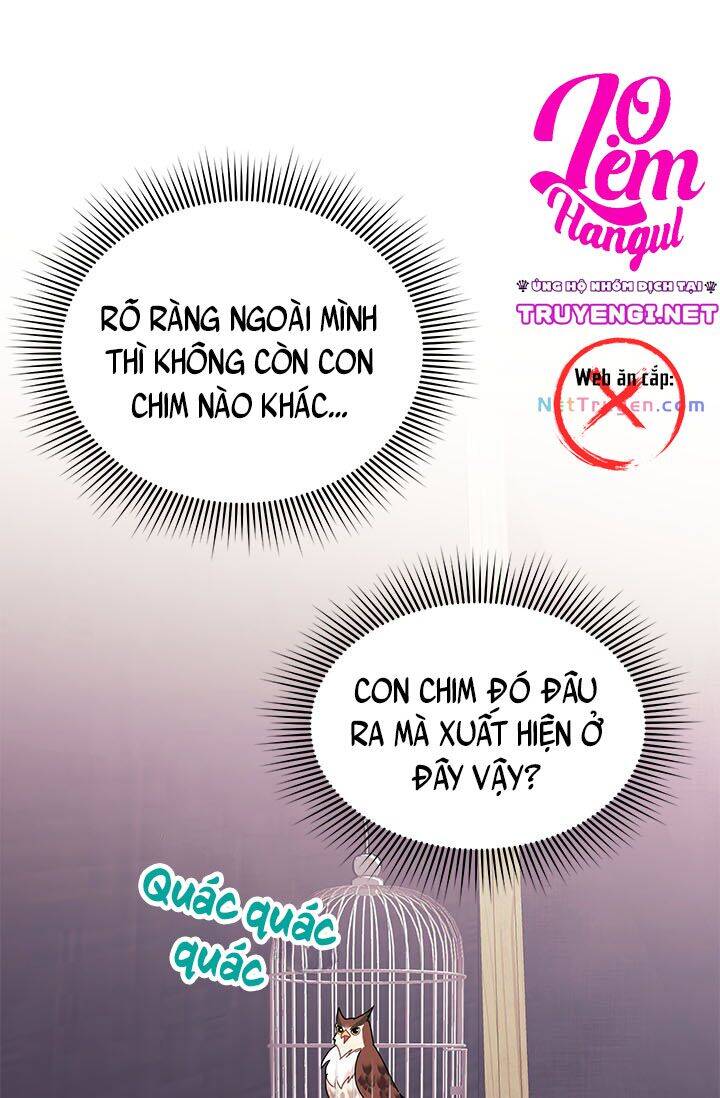 Công Chúa Của Loài Chim - Chương 23