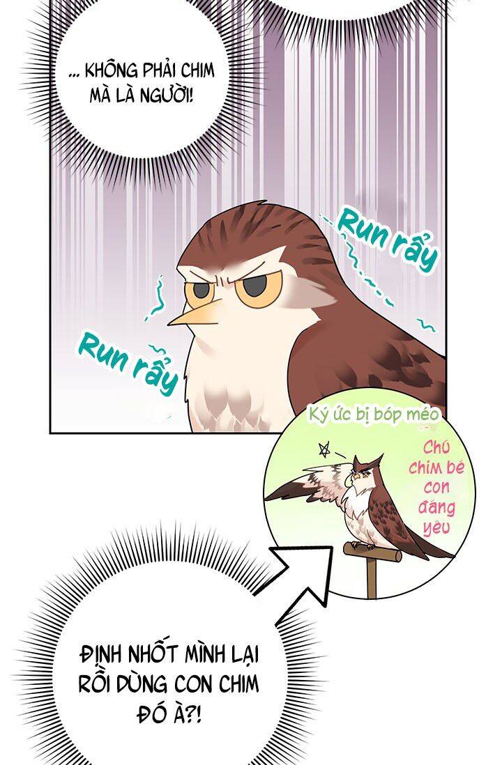 Công Chúa Của Loài Chim - Chương 23
