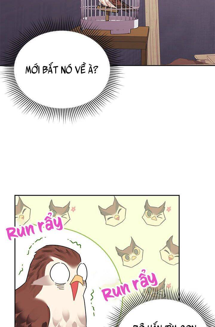 Công Chúa Của Loài Chim - Chương 23