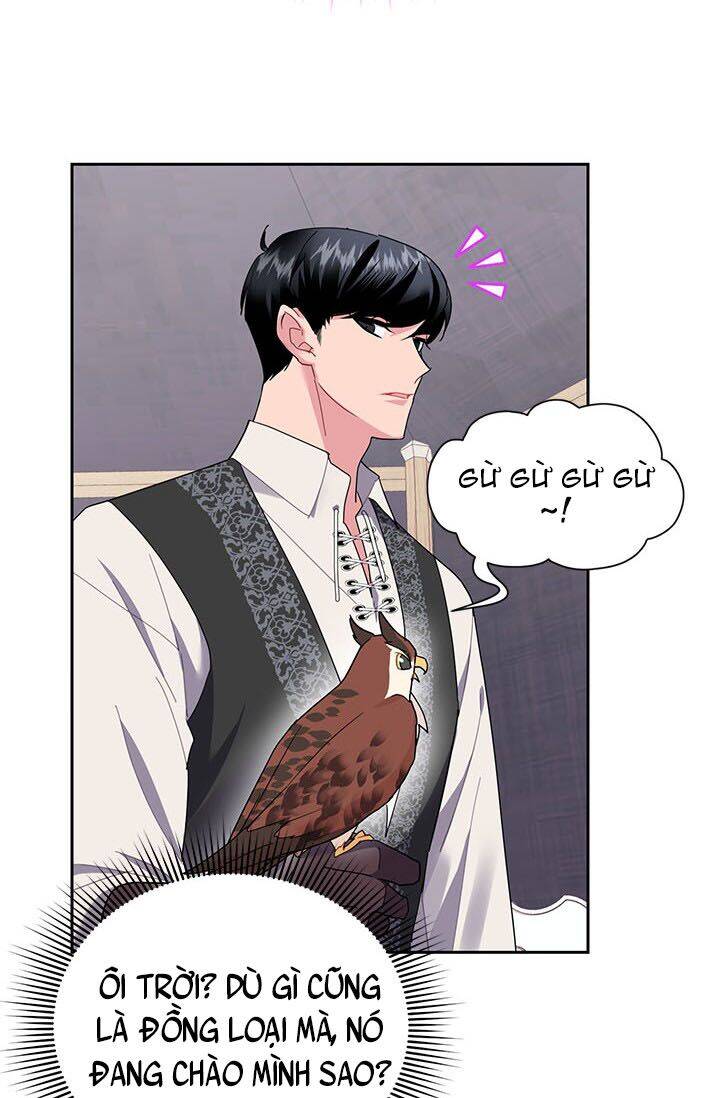 Công Chúa Của Loài Chim - Chương 23