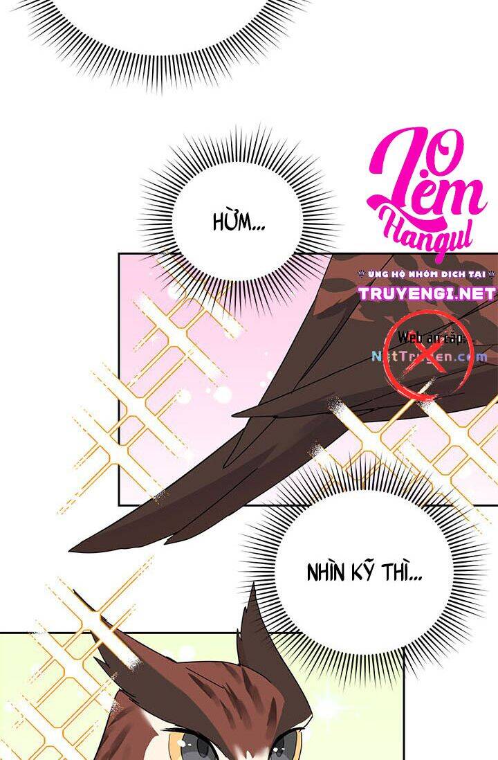 Công Chúa Của Loài Chim - Chương 23