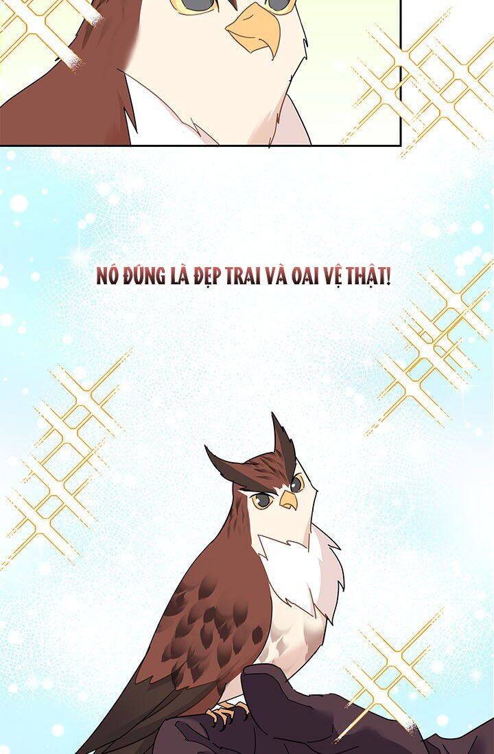 Công Chúa Của Loài Chim - Chương 23