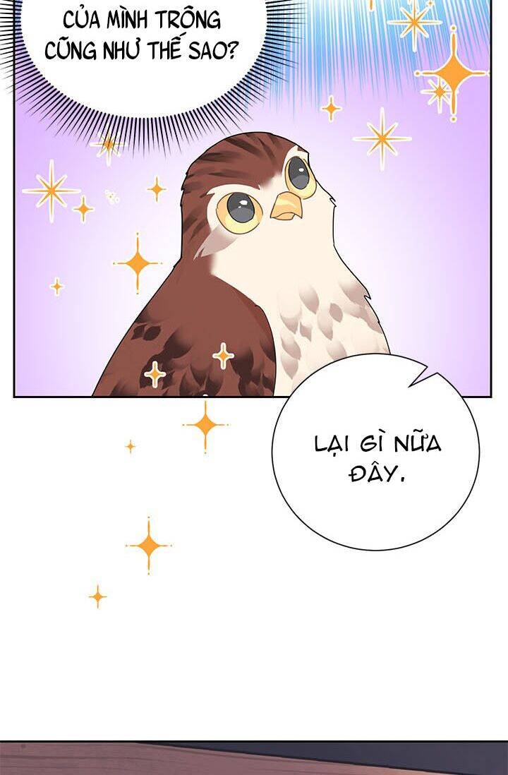 Công Chúa Của Loài Chim - Chương 23