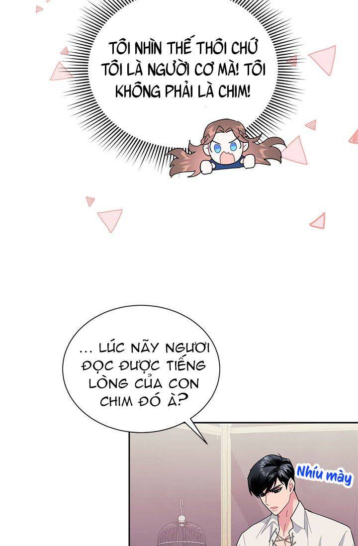 Công Chúa Của Loài Chim - Chương 23
