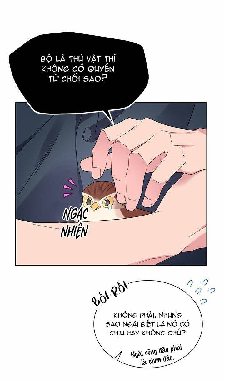 Công Chúa Của Loài Chim - Chương 25