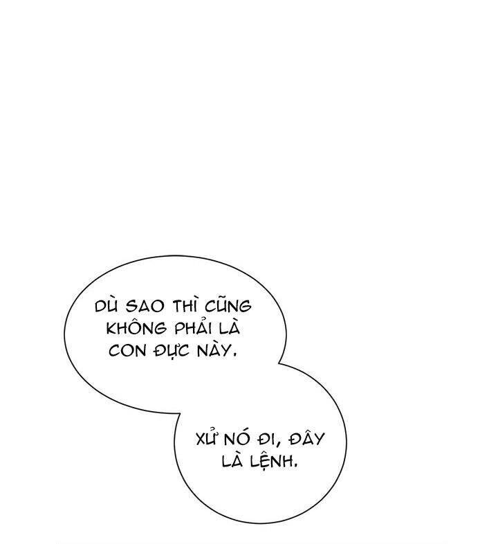 Công Chúa Của Loài Chim - Chương 25