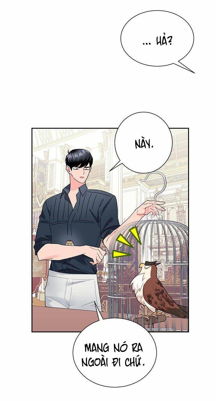 Công Chúa Của Loài Chim - Chương 25