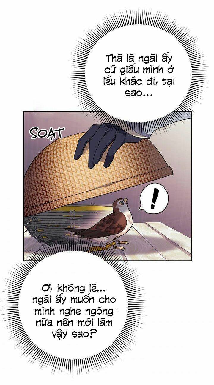 Công Chúa Của Loài Chim - Chương 25