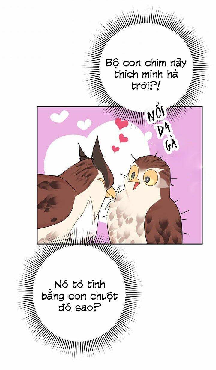 Công Chúa Của Loài Chim - Chương 25