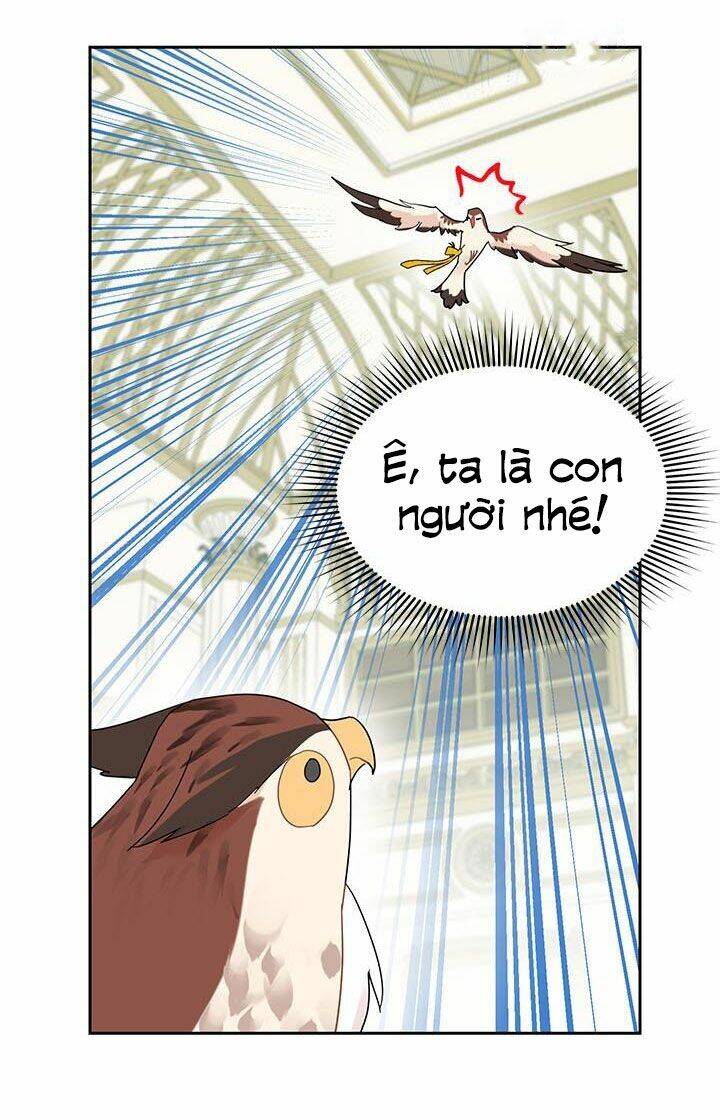 Công Chúa Của Loài Chim - Chương 25