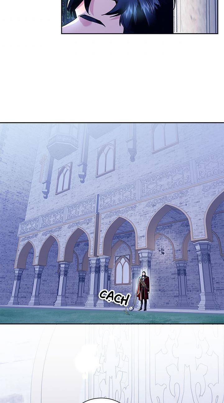 Công Chúa Của Loài Chim - Chương 28