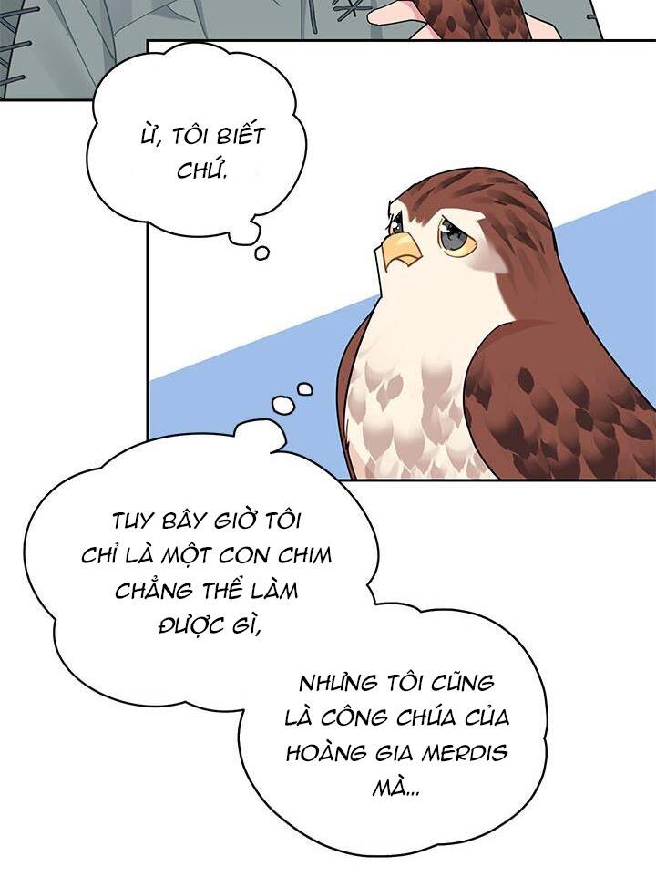 Công Chúa Của Loài Chim - Chương 28