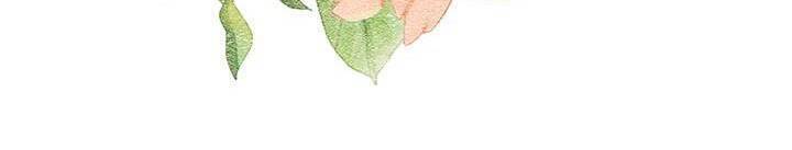 Công Chúa Của Loài Chim - Chương 28