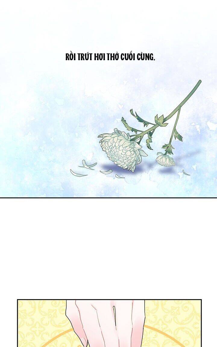 Công Chúa Của Loài Chim - Chương 29