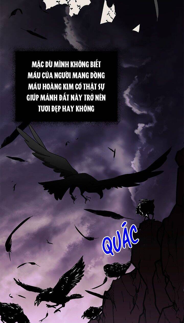 Công Chúa Của Loài Chim - Chương 29