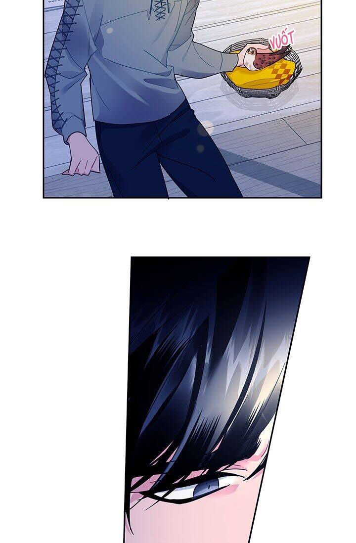 Công Chúa Của Loài Chim - Chương 29