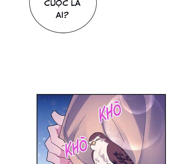 Công Chúa Của Loài Chim - Chương 29