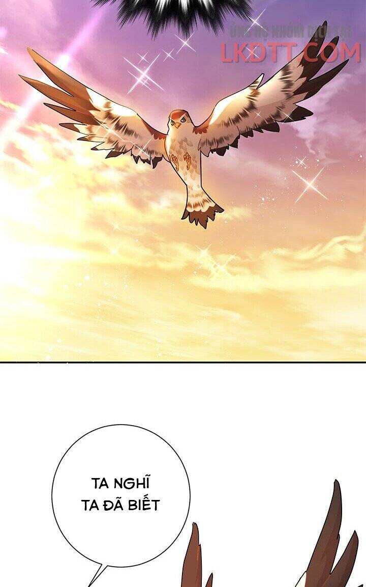 Công Chúa Của Loài Chim - Chương 30