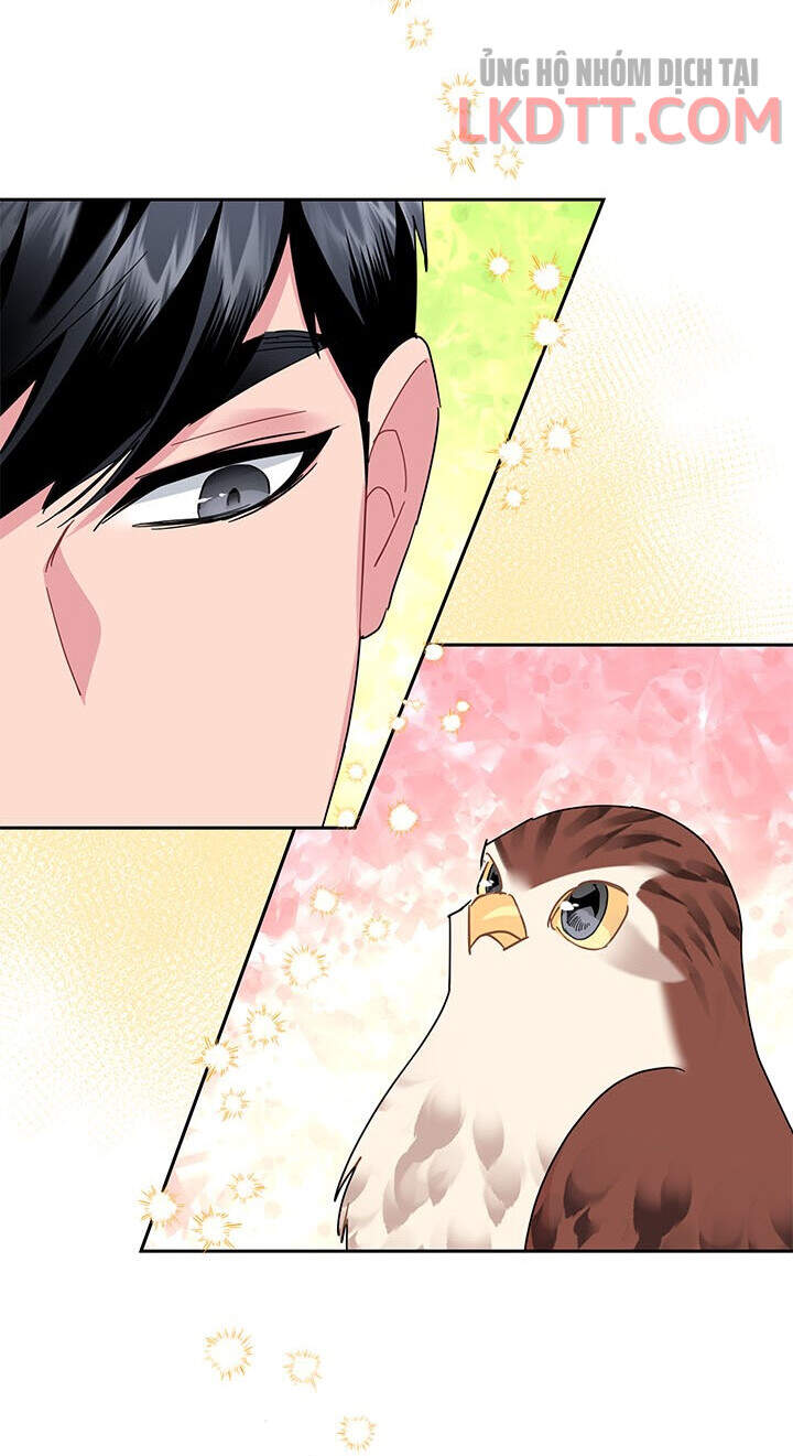 Công Chúa Của Loài Chim - Chương 31