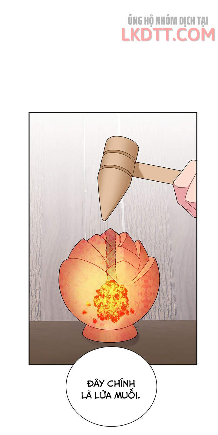 Công Chúa Của Loài Chim - Chương 31