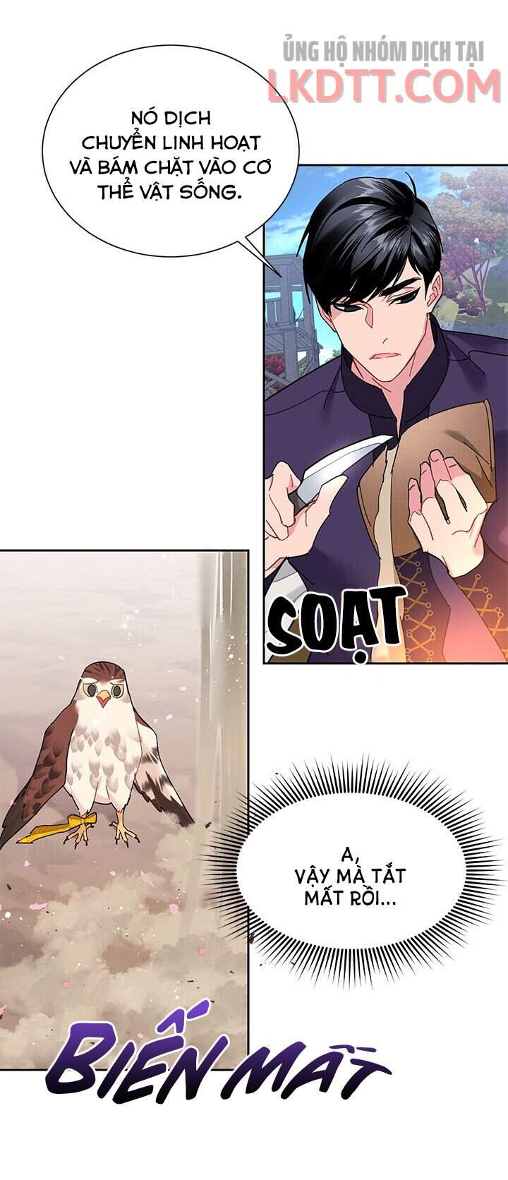 Công Chúa Của Loài Chim - Chương 31
