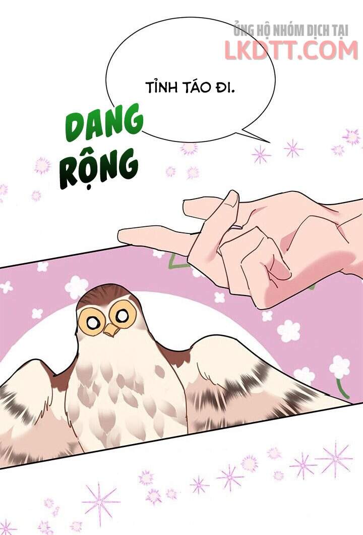 Công Chúa Của Loài Chim - Chương 31