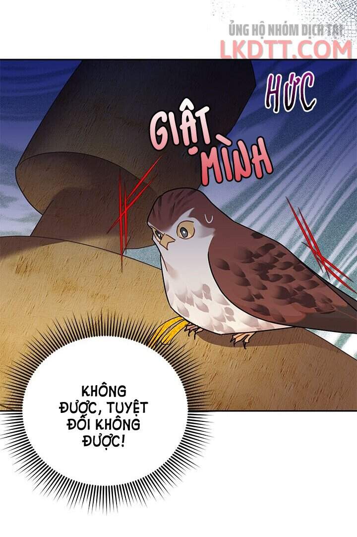 Công Chúa Của Loài Chim - Chương 31