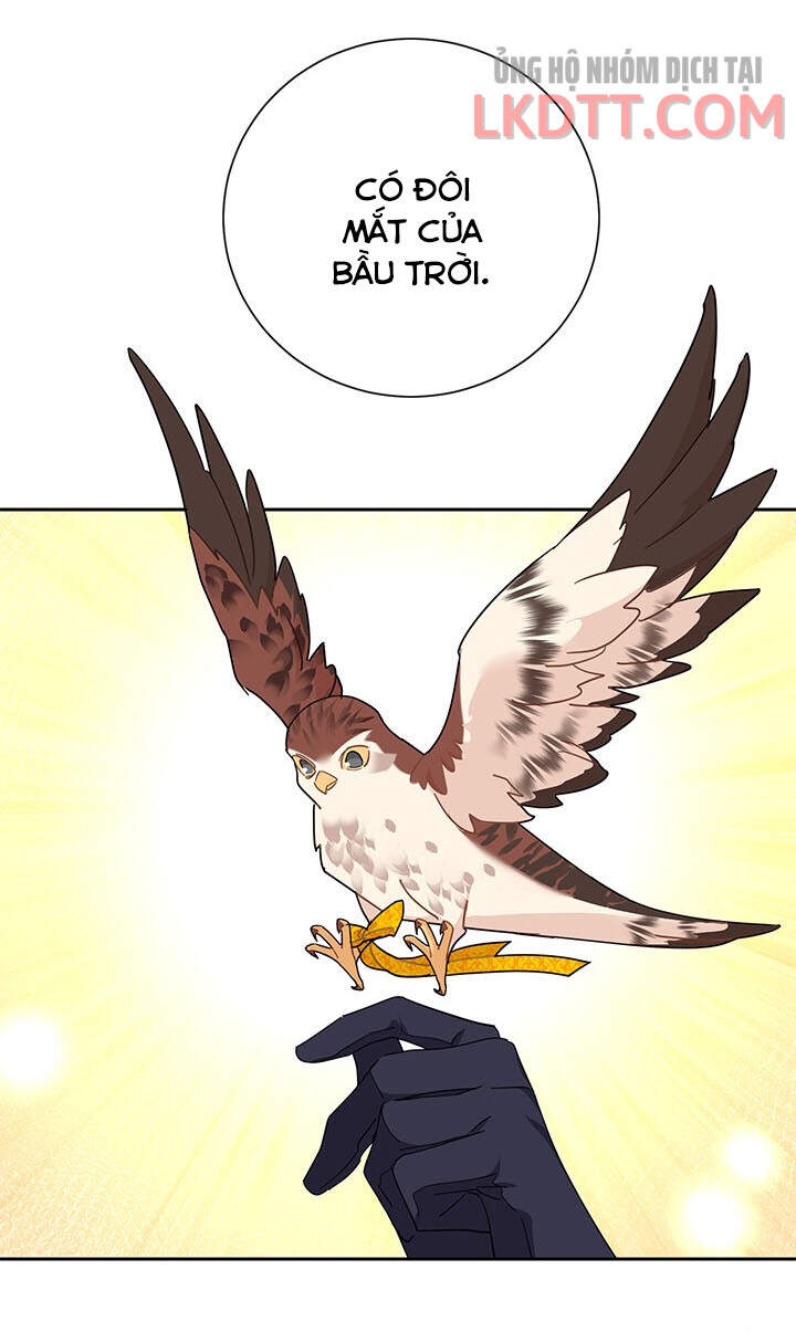 Công Chúa Của Loài Chim - Chương 31