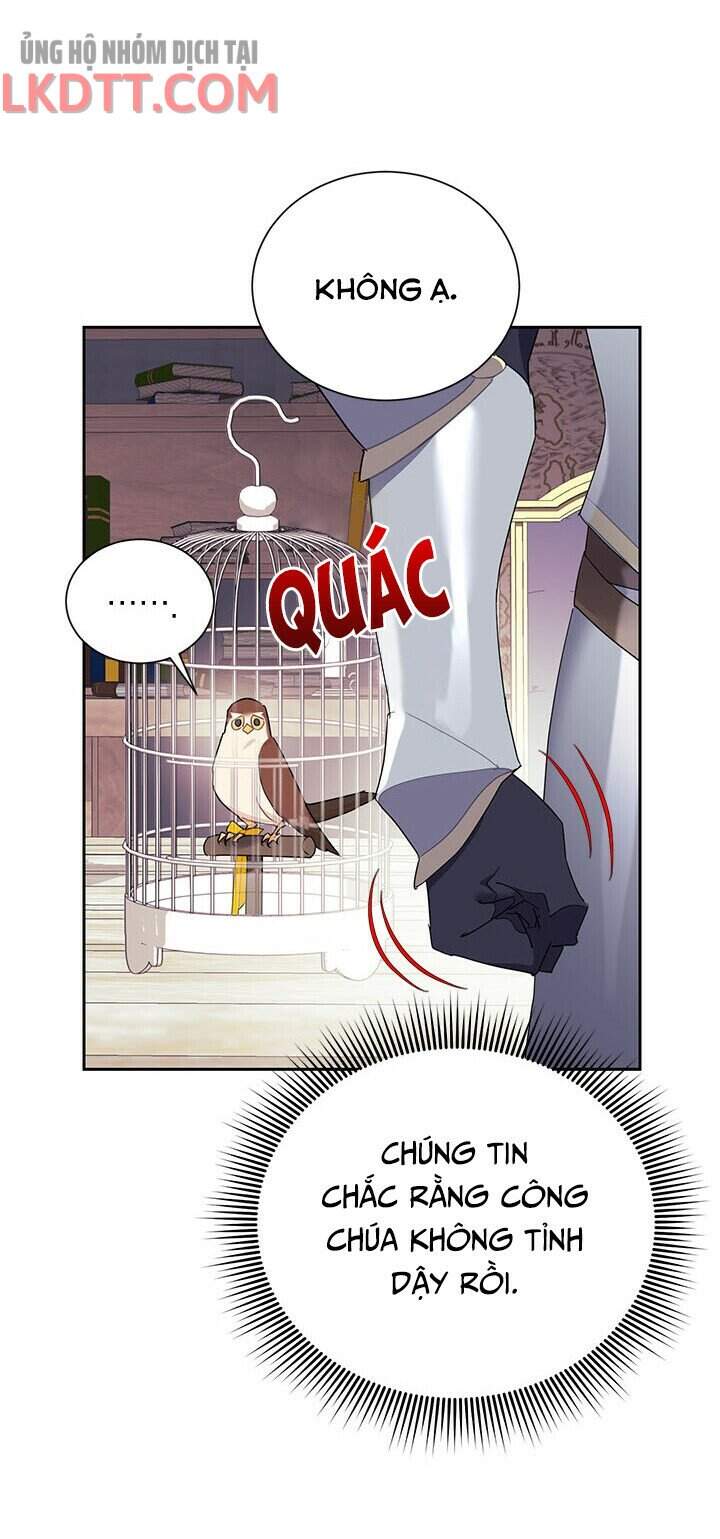 Công Chúa Của Loài Chim - Chương 35