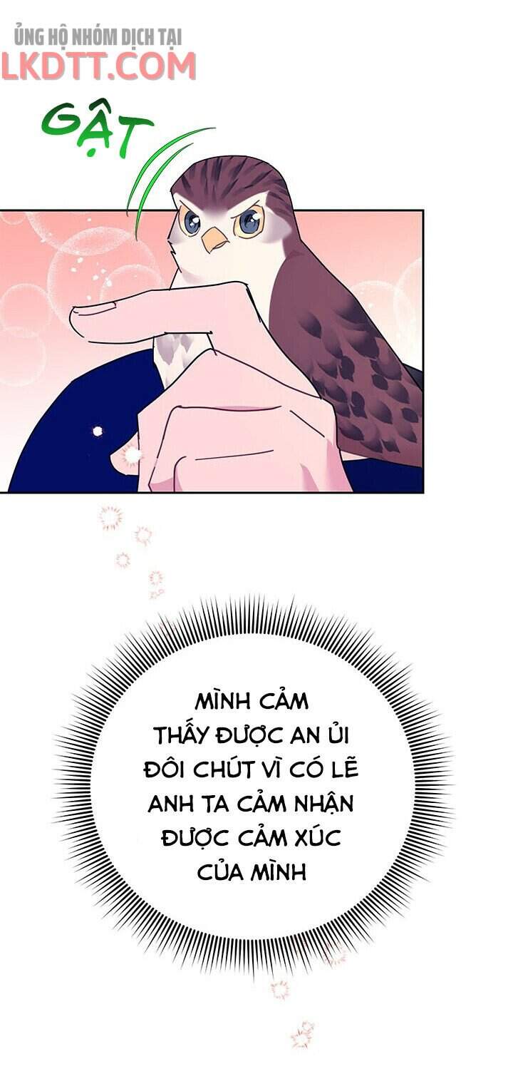 Công Chúa Của Loài Chim - Chương 36