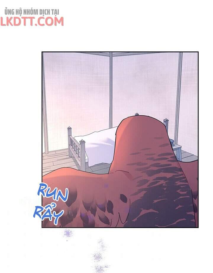 Công Chúa Của Loài Chim - Chương 36